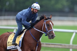 Mystik Dan will be the likely favorite in this weekend's Preakness Stakes.